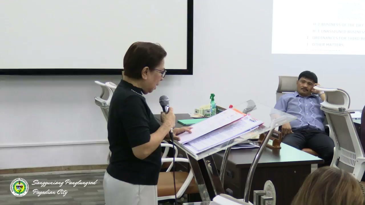 An invited resource person addresses the council at the podium during the Unfinished Business segment of the 46th Regular Session.